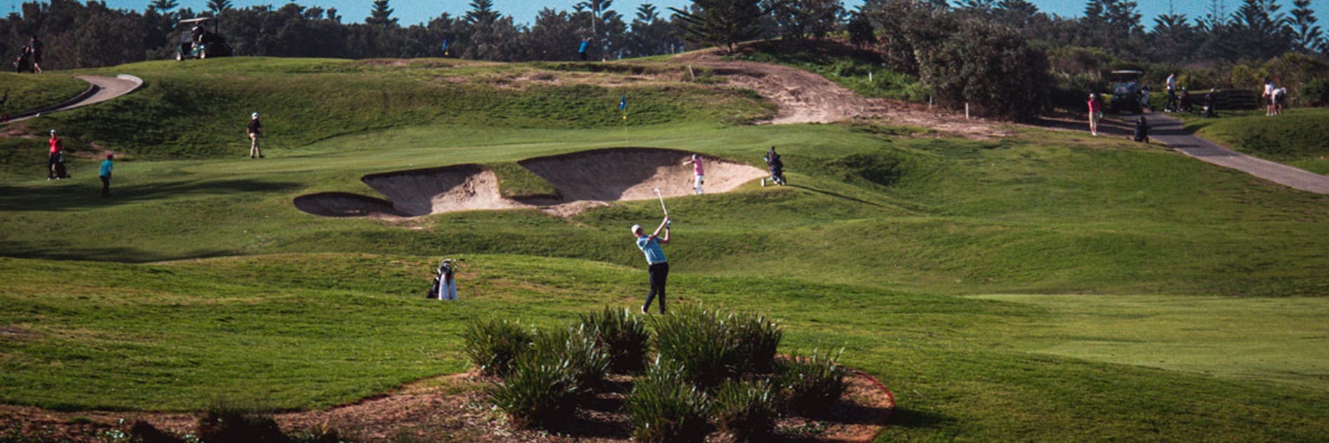 friday-9-hole-chook-run-shelly-beach-golf-club